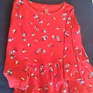 3/$15  👍 Baby Gap toddler girl's floral long sleeve shirt